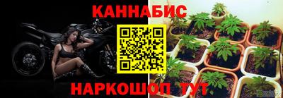 apvp Пыть-Ях