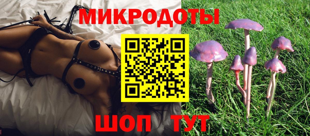 Псилоцибиновые грибы Psilocybe Соль-Илецк