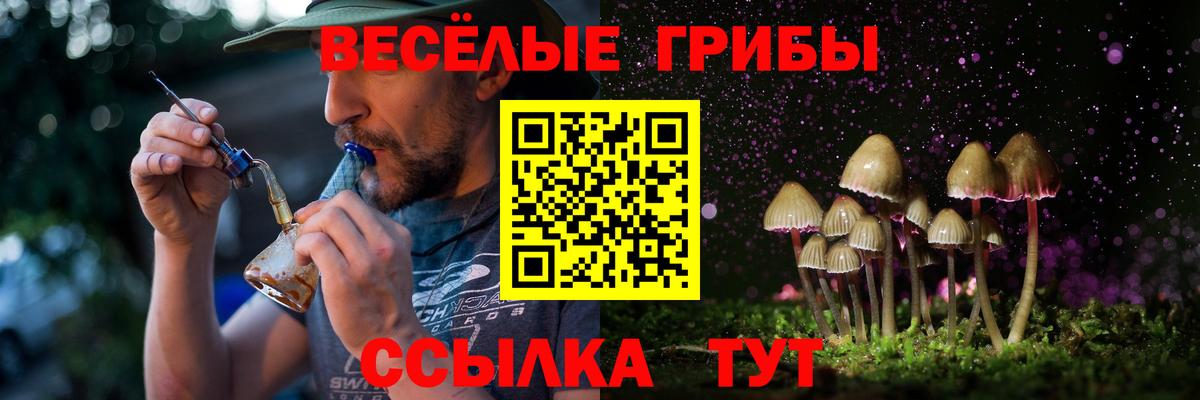 Галлюциногенные грибы Magic Shrooms  как найти наркотики  Соль-Илецк  Вход с VPN  Галлюциногенные грибы Psilocybine cubensis 